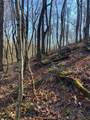 0 Drakes Branch Road - Photo 5