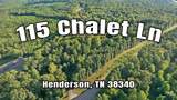 115 Chalet Ln - Photo 68