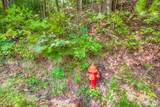 0 Brick Church Pike - Photo 10