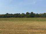 5553 Thick Rd - Photo 2