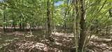 327 2 Lake Trl - Photo 9