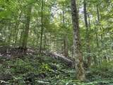 740 Hogans Branch Rd - Photo 16