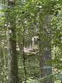 740 Hogans Branch Rd - Photo 19