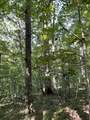 740 Hogans Branch Rd - Photo 28