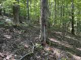 740 Hogans Branch Rd - Photo 39