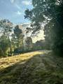 6 Turkey Creek - Photo 22