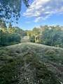 6 Turkey Creek - Photo 40