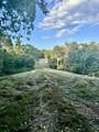 6 Turkey Creek - Photo 42