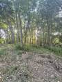 6 Turkey Creek - Photo 43