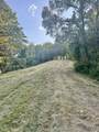 6 Turkey Creek - Photo 48