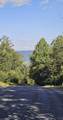 561 Bluff View Drive - Photo 14