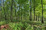 1907 Burke Hollow Rd - Photo 12
