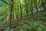 1907 Burke Hollow Rd - Photo 10