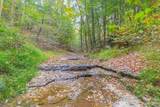 0 Ross Hollow Rd - Photo 12