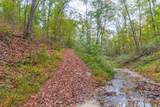 0 Ross Hollow Rd - Photo 9