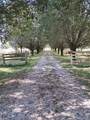 1211 Old Highway 99 - Photo 15