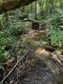 0 Hughes Hollow Rd - Photo 10