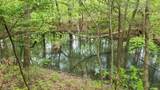 547 Grindstone Hollow Rd - Photo 31
