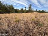 694 White Crk - Photo 6
