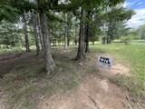 227 Blackberry Farm Rd - Photo 2