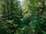 0 Mann Rd - Photo 13