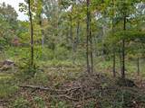 0 Deer Run Rd Lot 146 - Photo 10
