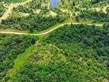 0 Shores Trail - Photo 10