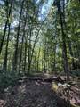 0 Pigeon Springs Rd - Photo 2
