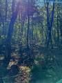 0 Pigeon Springs Rd - Photo 17