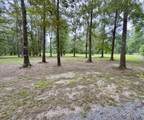 75 Joe Witty Rd - Photo 7