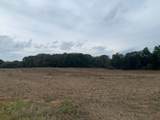 0 Dotsonville Road - Photo 4
