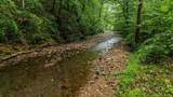 0 Furnace Hollow Road - Photo 1
