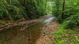 0 Furnace Hollow Road - Photo 11