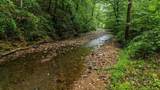 0 Furnace Hollow Road - Photo 11