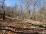 5310 Whites Creek Pike - Photo 12