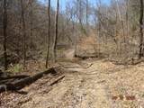 5310 Whites Creek Pike - Photo 4