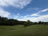 10073 Blaylock Mountain Rd - Photo 4