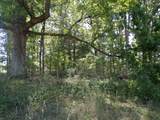 1551 Tennessee Ridge Road - Photo 8