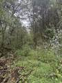 0 Gipson Hollow Road - Photo 3