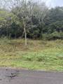 0 Gipson Hollow Road - Photo 4