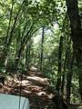 0 Gipson Hollow Road - Photo 8