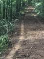 0 Gipson Hollow Road - Photo 9