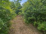 0 Bear Hollow Dr - Photo 14
