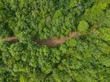 0 Bear Hollow Dr - Photo 5