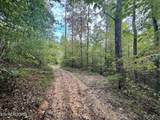 0 Roger Norrod Lane - Photo 15