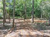 0 Alexander Springs Rd - Photo 3