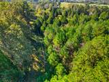1340 Herschal Lyles Rd - Photo 6