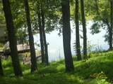 477 Lake Logan Rd - Photo 2