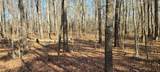 0 Gap Road - Photo 11