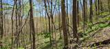 0 Gap Road - Photo 26